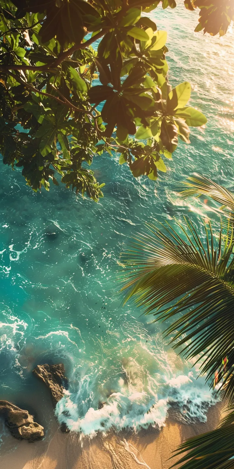 summer backgrounds for computer, wallpaper style, 4K  1:2