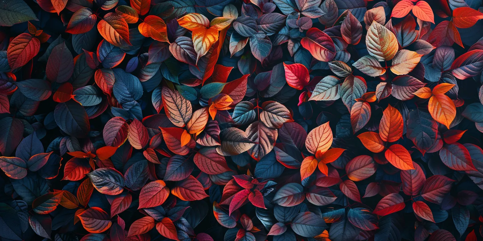 fall background wallpaper aesthetic, style, 4K  2:1