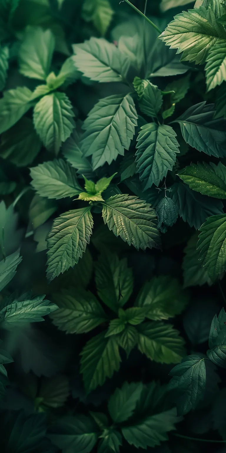 green background, wallpaper style, 4K  1:2