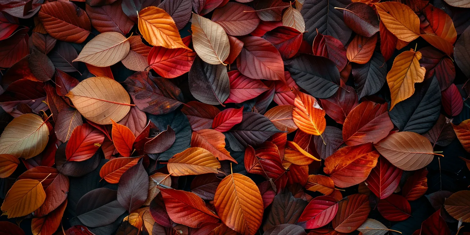 fall background wallpaper aesthetic, style, 4K  2:1