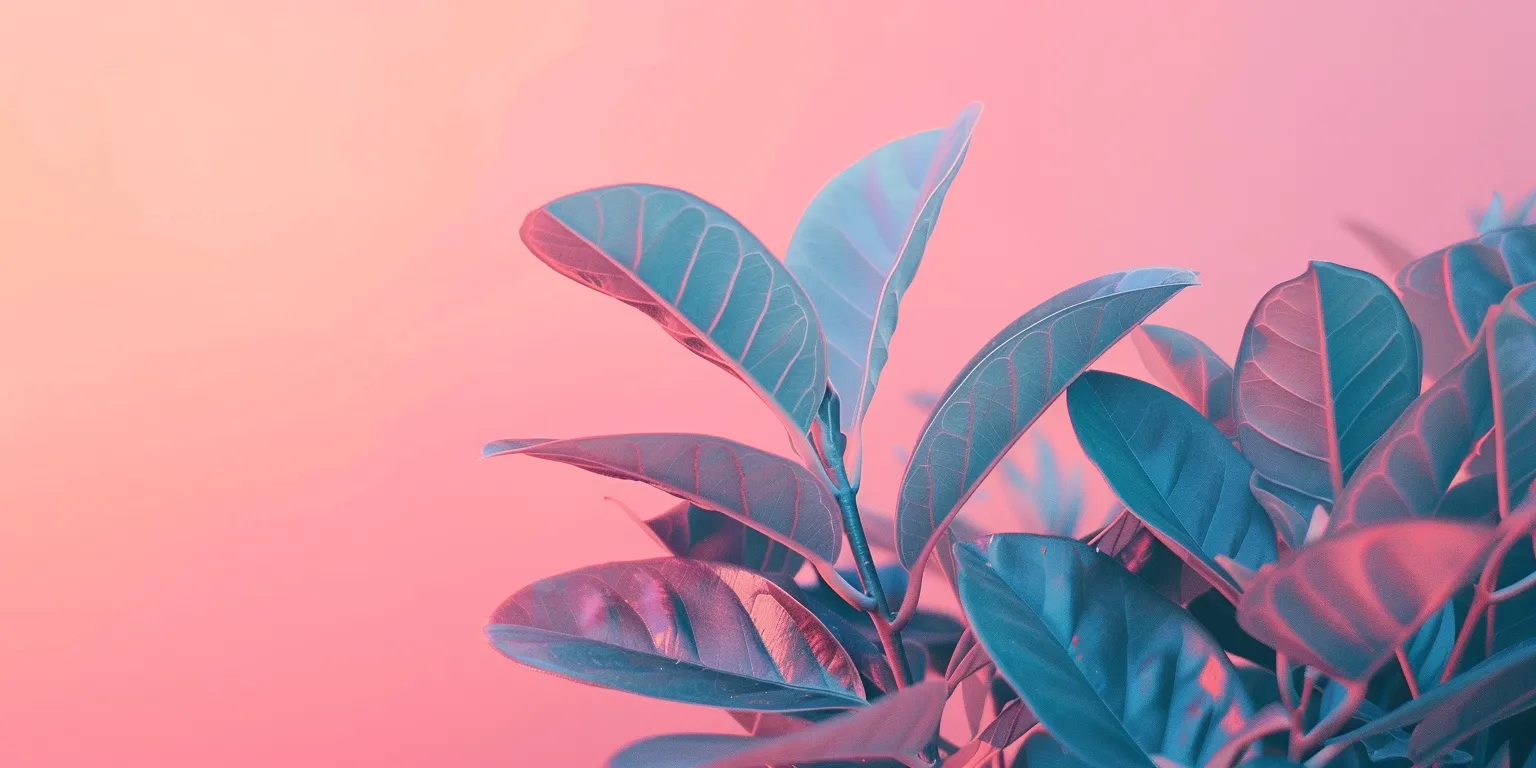 pink aesthetic wallpaper iphone, style, 4K  2:1