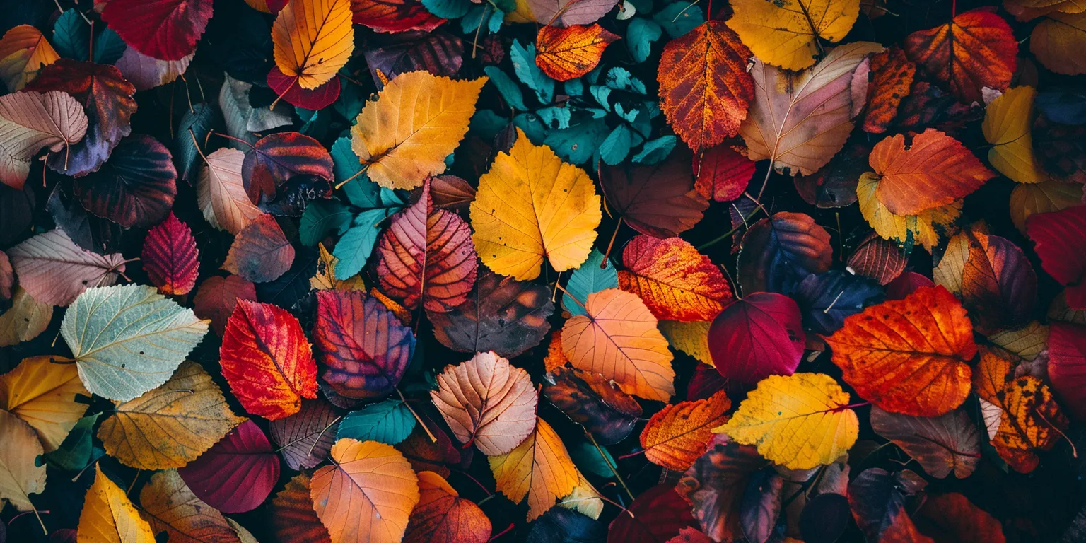 fall background wallpaper aesthetic, style, 4K  2:1