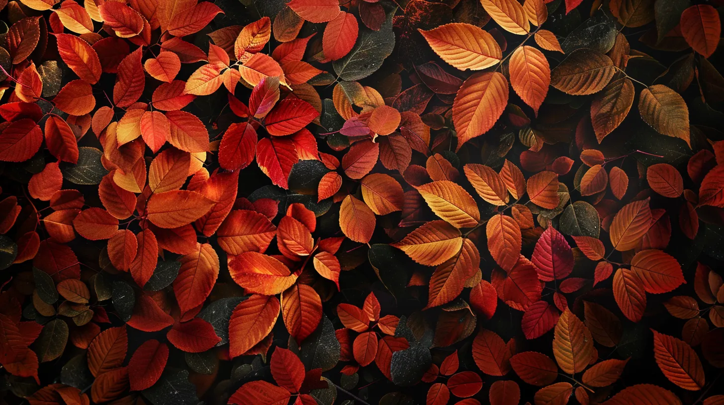 fall background wallpaper, wallpaper style, 4K  16:9