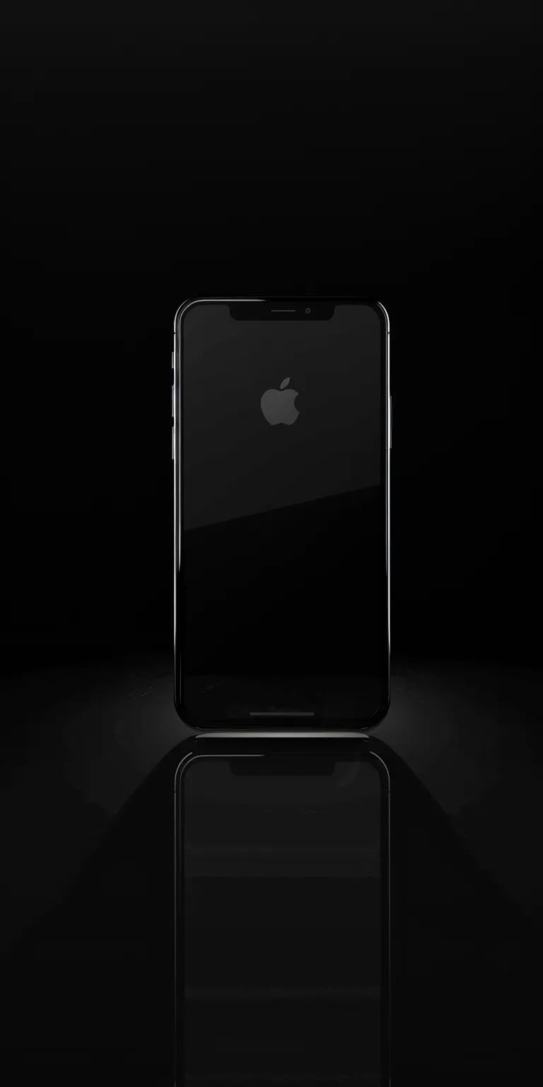 black screen wallpaper iphone, style, 4K  1:2