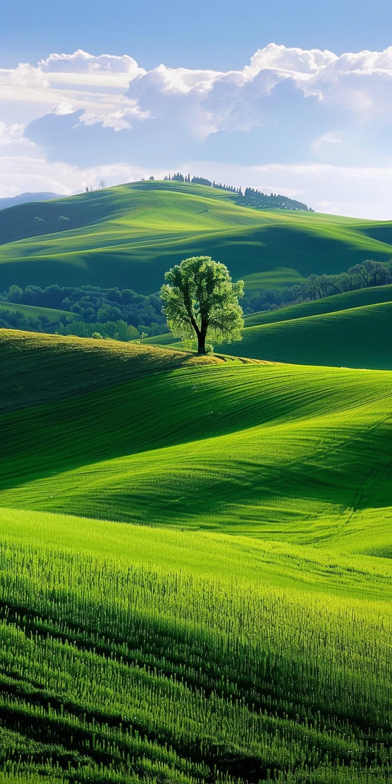 windows xp background 4k, wallpaper style, 4K  1:2