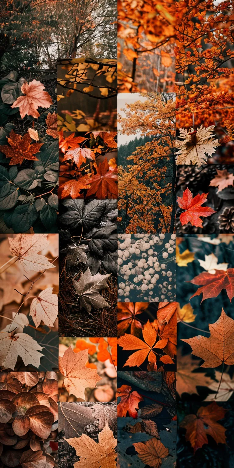 fall wallpaper iphone collage, style, 4K  1:2