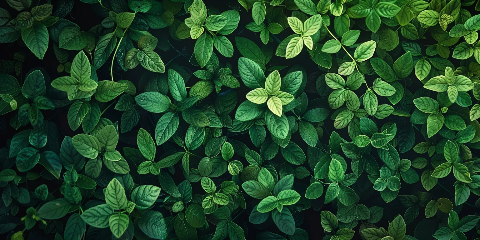 green wallpapers for laptop, wallpaper style, 4K  2:1