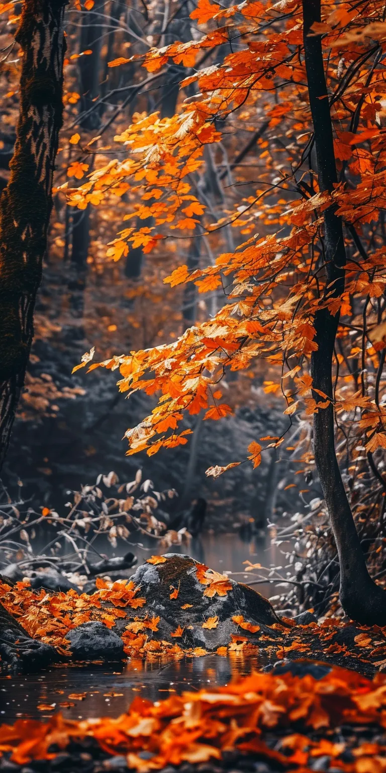 fall background wallpaper iphone, style, 4K  1:2