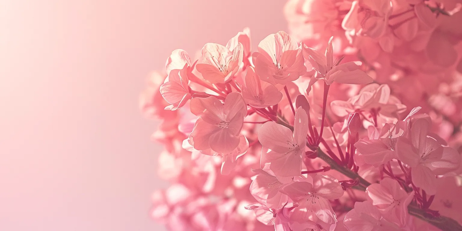 light pink background plain, wallpaper style, 4K  2:1