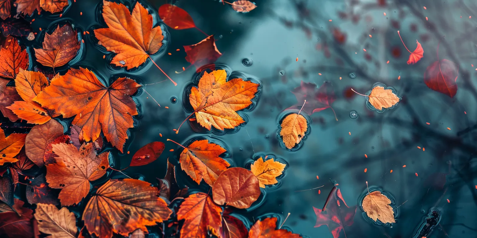 cute fall wallpaper laptop, style, 4K  2:1