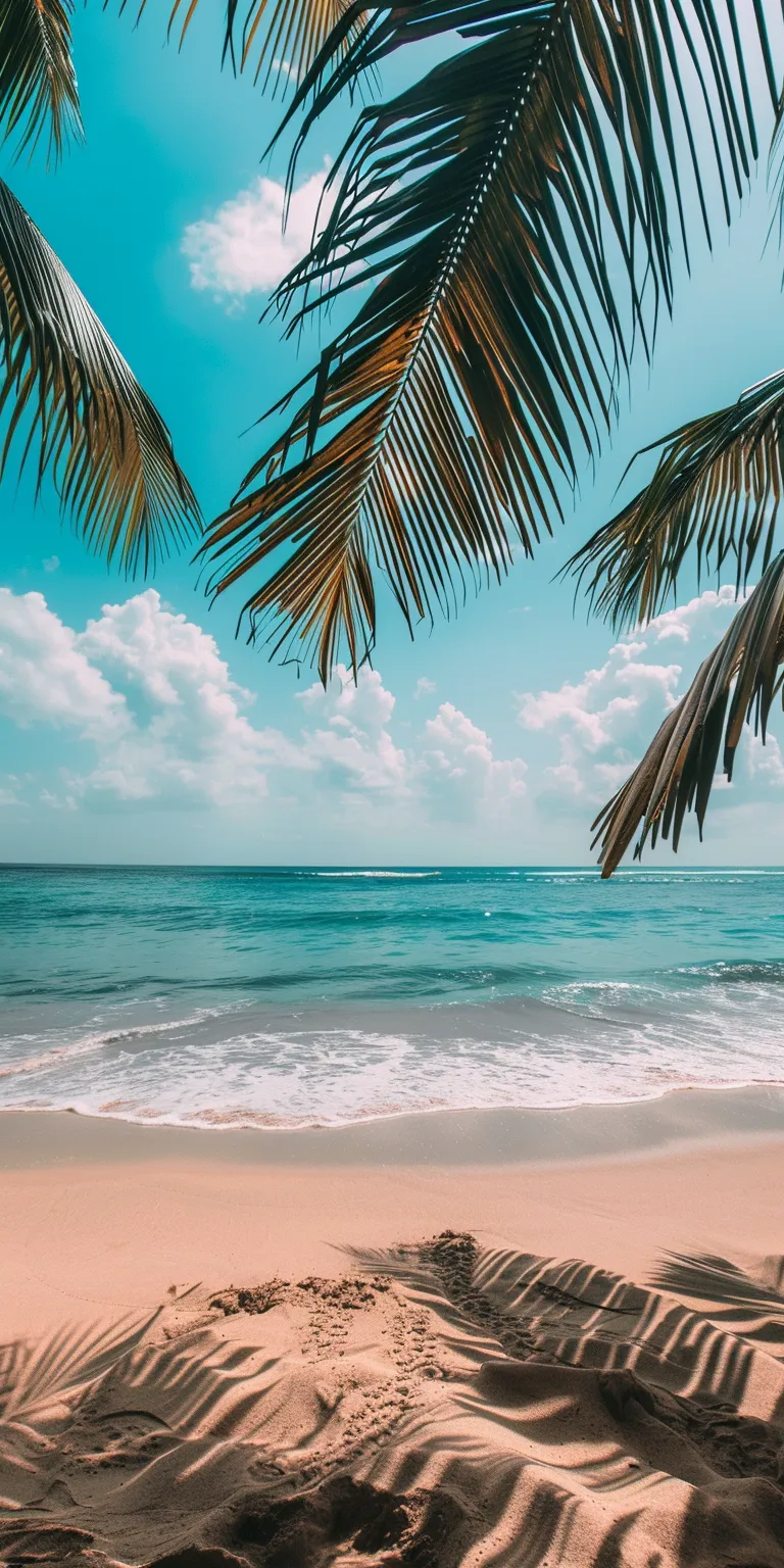 beach background images, wallpaper style, 4K  1:2