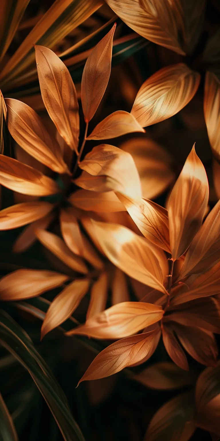 brown wallpaper orange, leaf, botanical, unsplash, wall