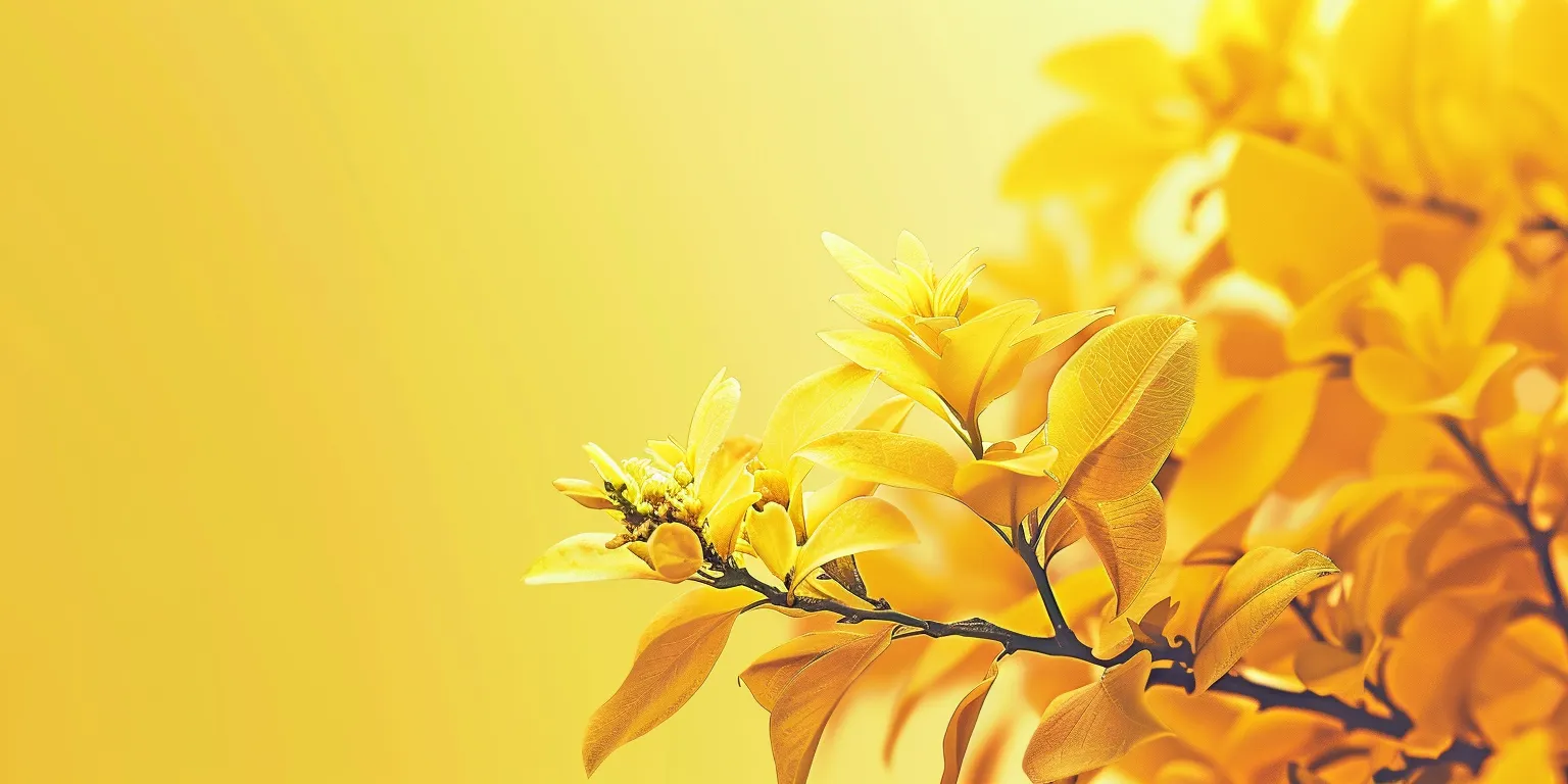 yellow wallpapers cute, wallpaper style, 4K  2:1