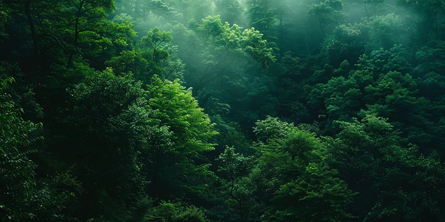 iphone lock screen wallpaper forest, greenery, nature, unsplash, green