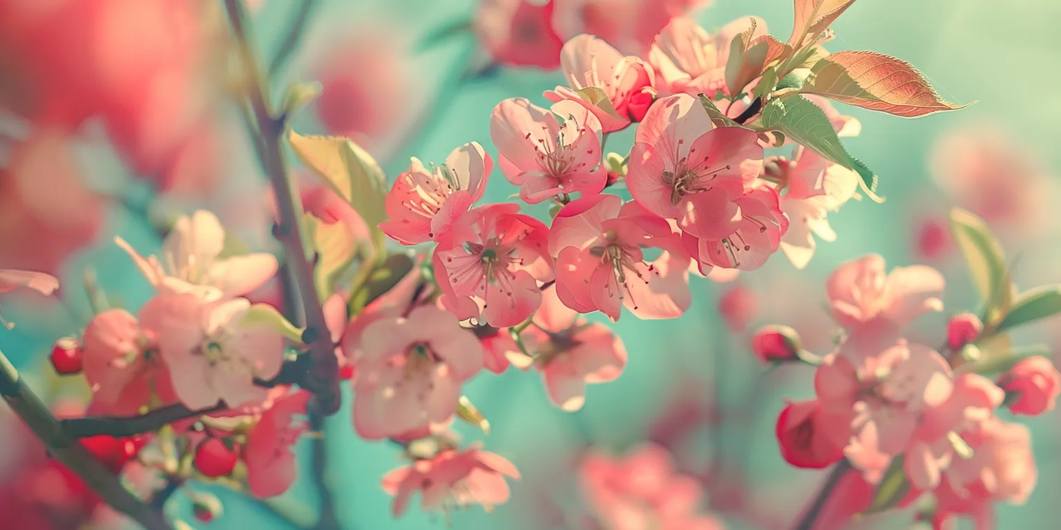 spring background iphone, wallpaper style, 4K  2:1