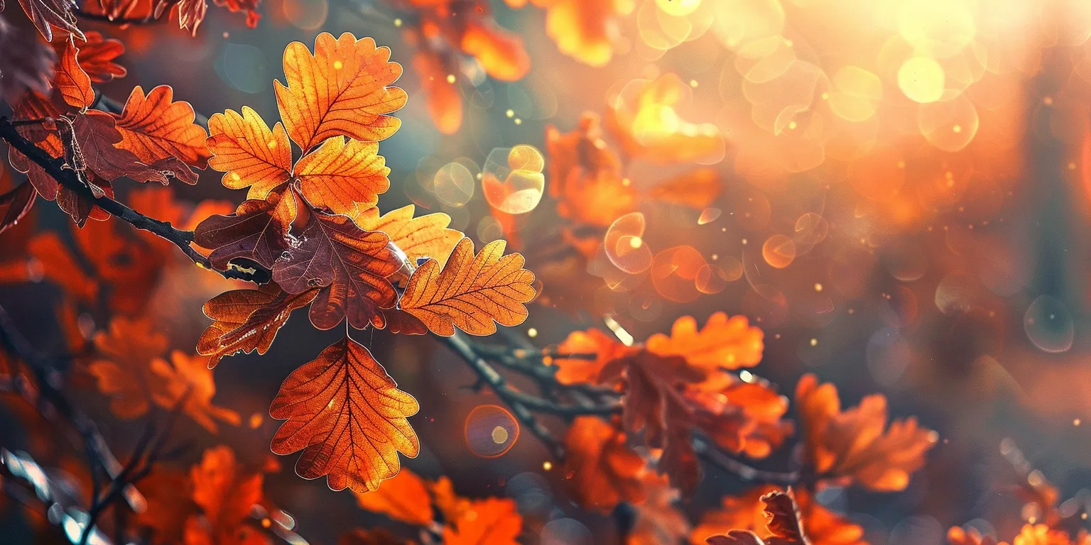 fall wallpaper iphone, style, 4K  2:1