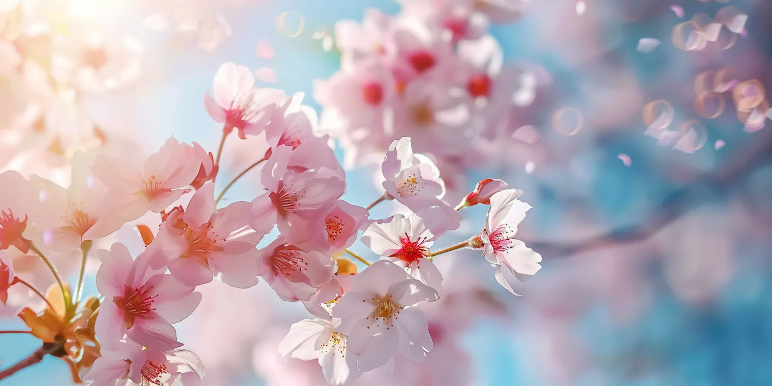 spring background images, wallpaper style, 4K  2:1