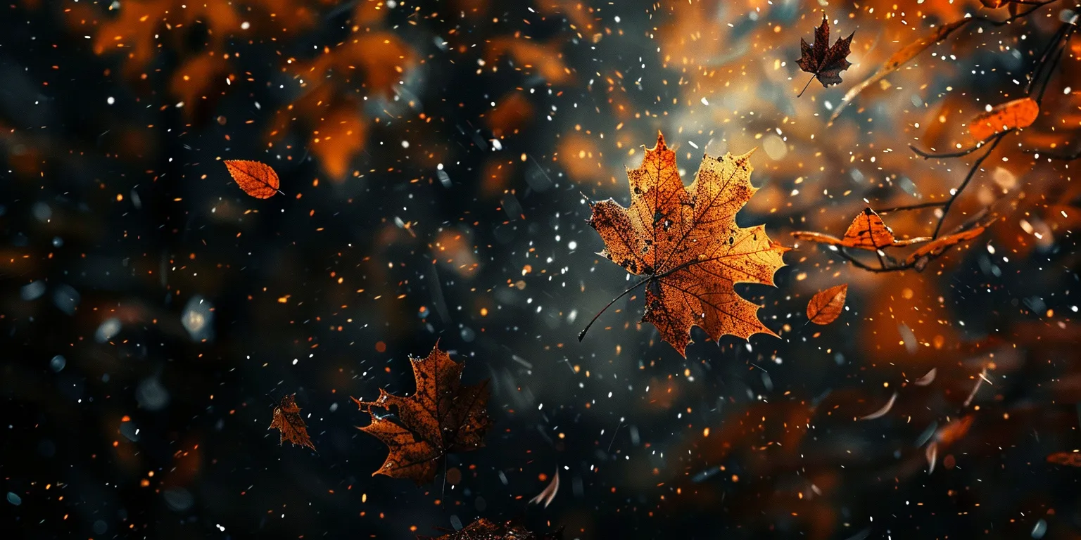 fall wallpaper iphone 14, style, 4K  2:1