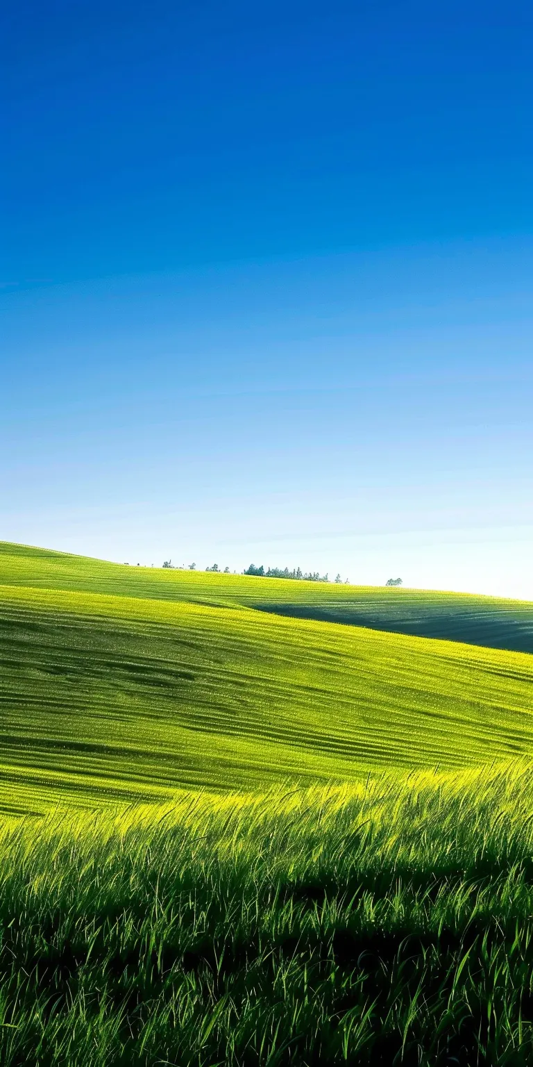 windows xp wallpaper 1920x1080, style, 4K  1:2