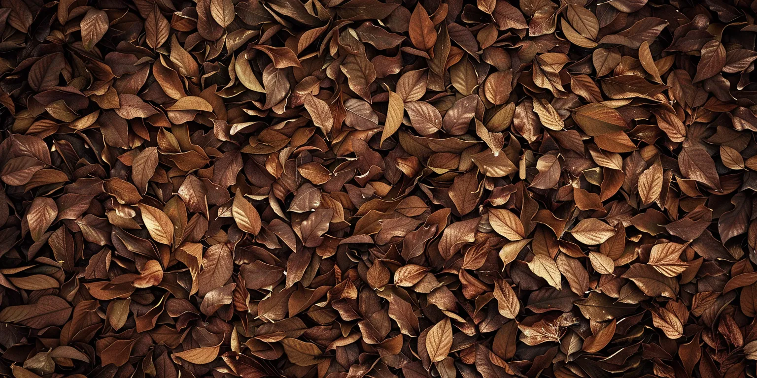 brown wallpaper wall, brown, cocomelon, leaf, peel