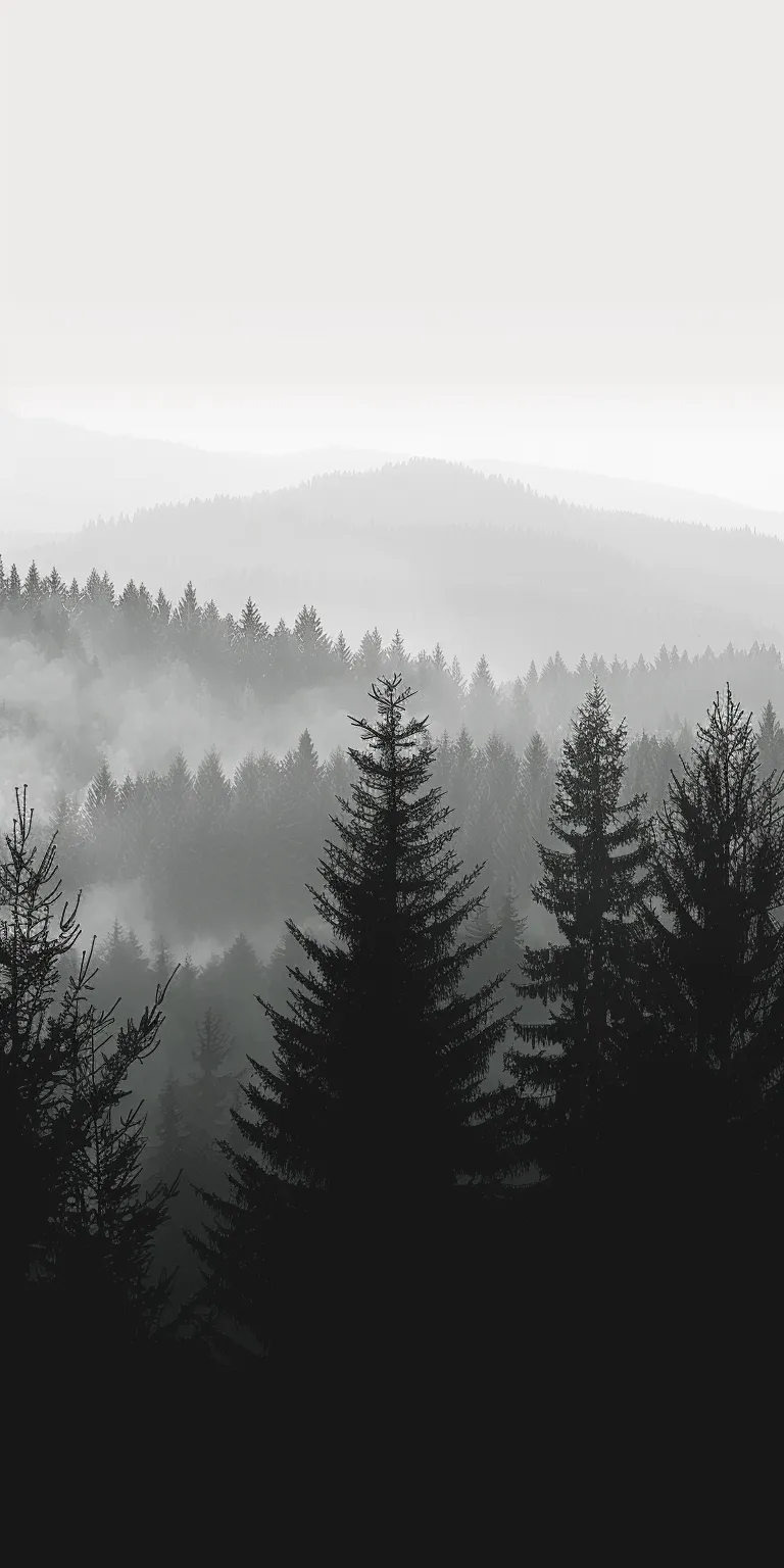 minimalist wallpaper forest, 3840x1080, unsplash, 3440x1440, lockscreen