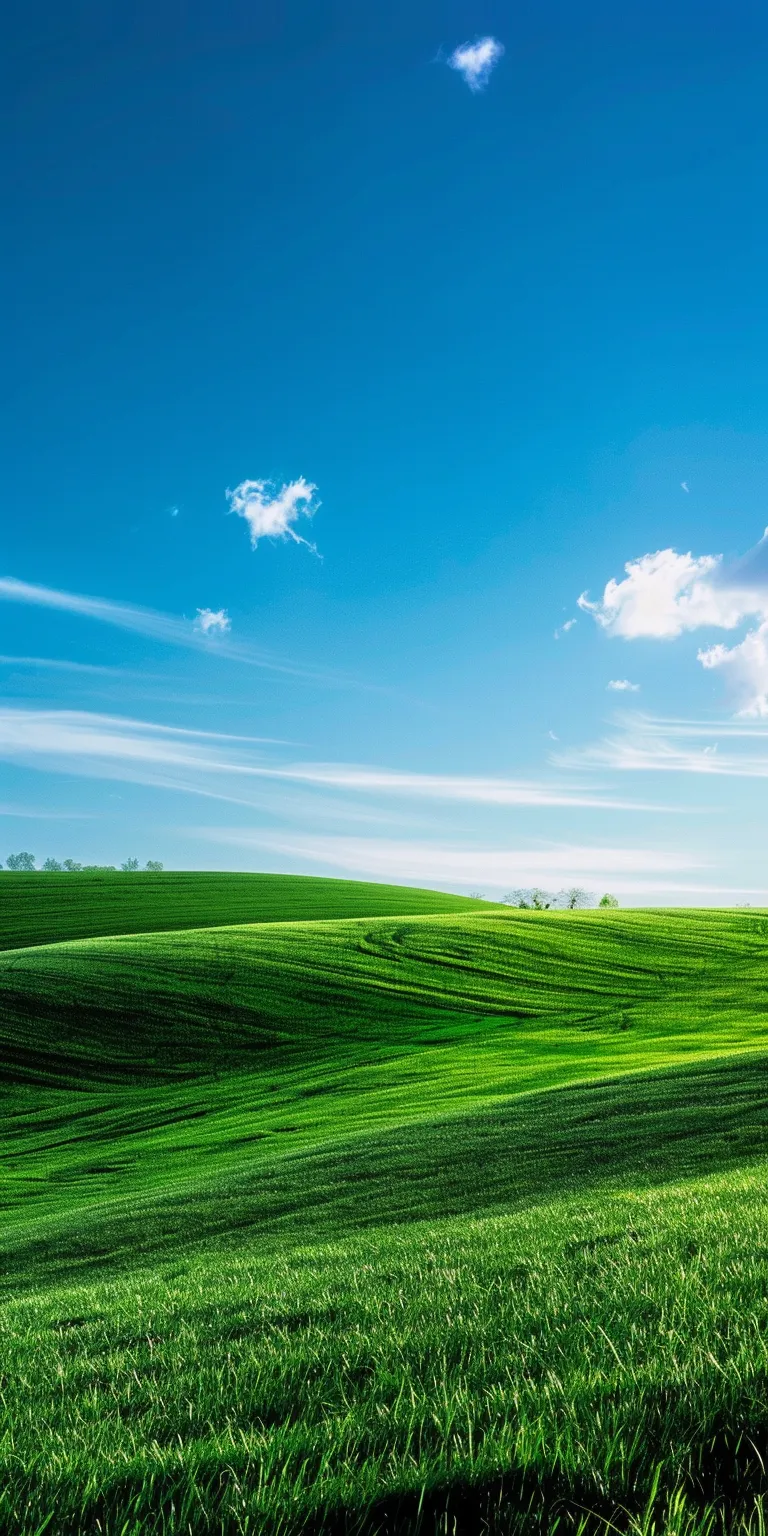 windows xp wallpaper location, style, 4K  1:2