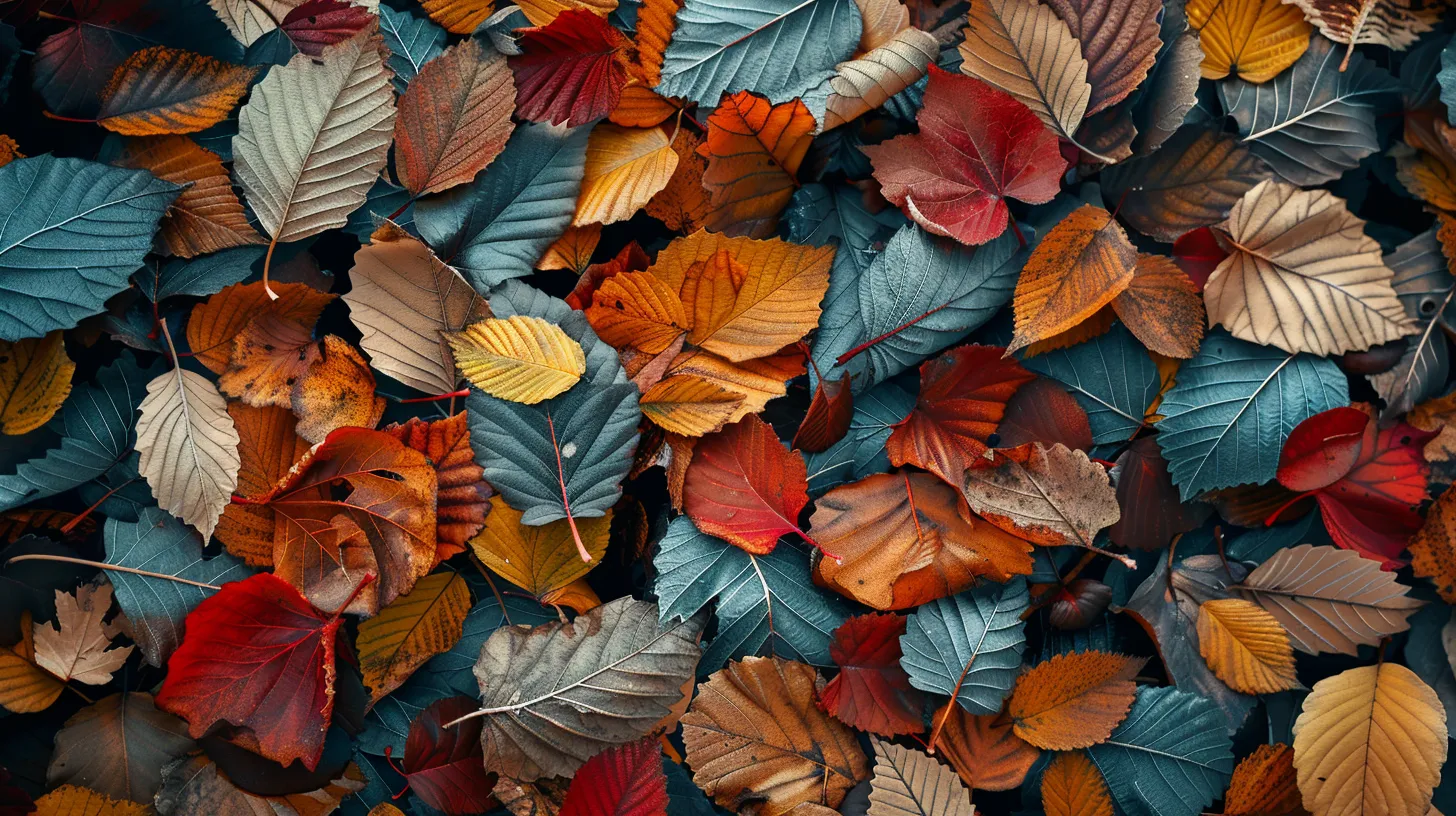 fall wallpaper iphone, style, 4K  16:9