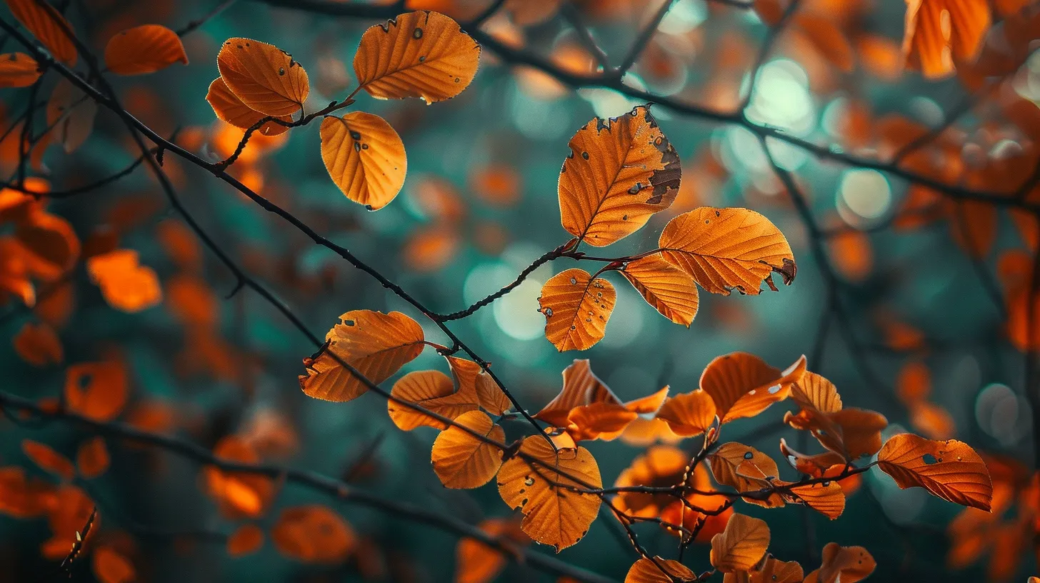 fall background aesthetic, wallpaper style, 4K  16:9