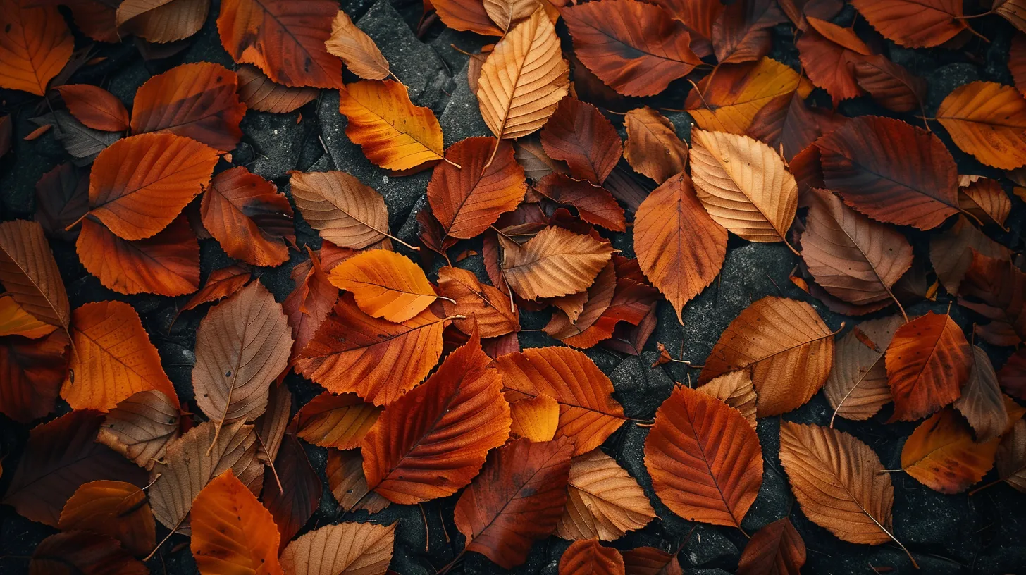 fall background wallpaper, wallpaper style, 4K  16:9