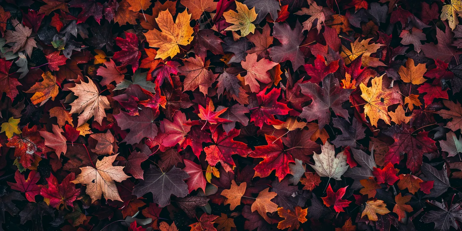 fall background wallpaper aesthetic, style, 4K  2:1