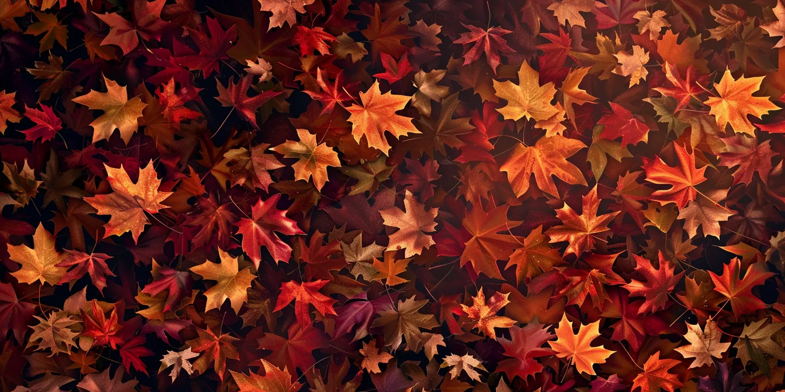 fall background, wallpaper style, 4K  2:1