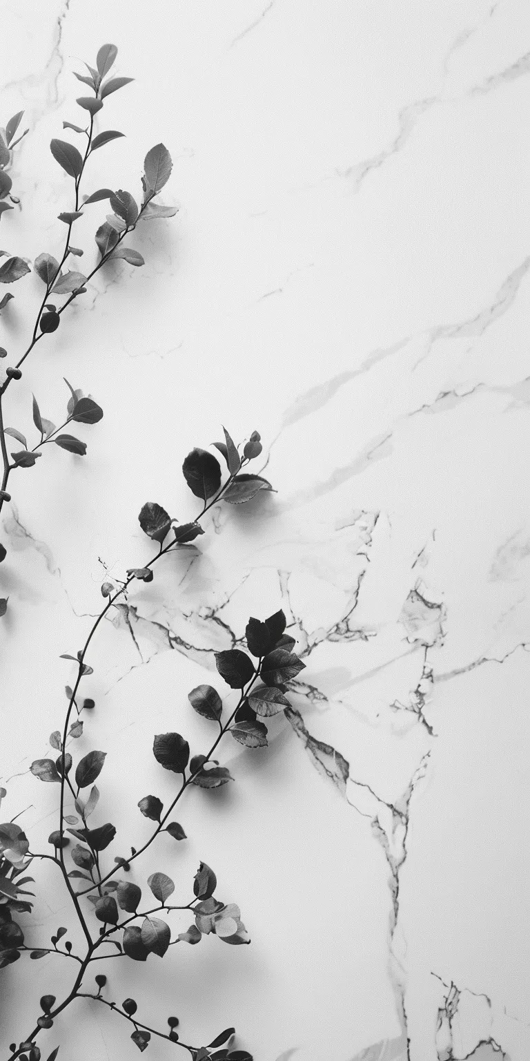 white background wallpaper marble, wall, silver, botanical, unsplash