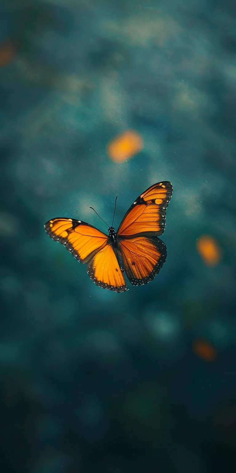 butterfly wallpaper, wallpaper style, 4K  1:2