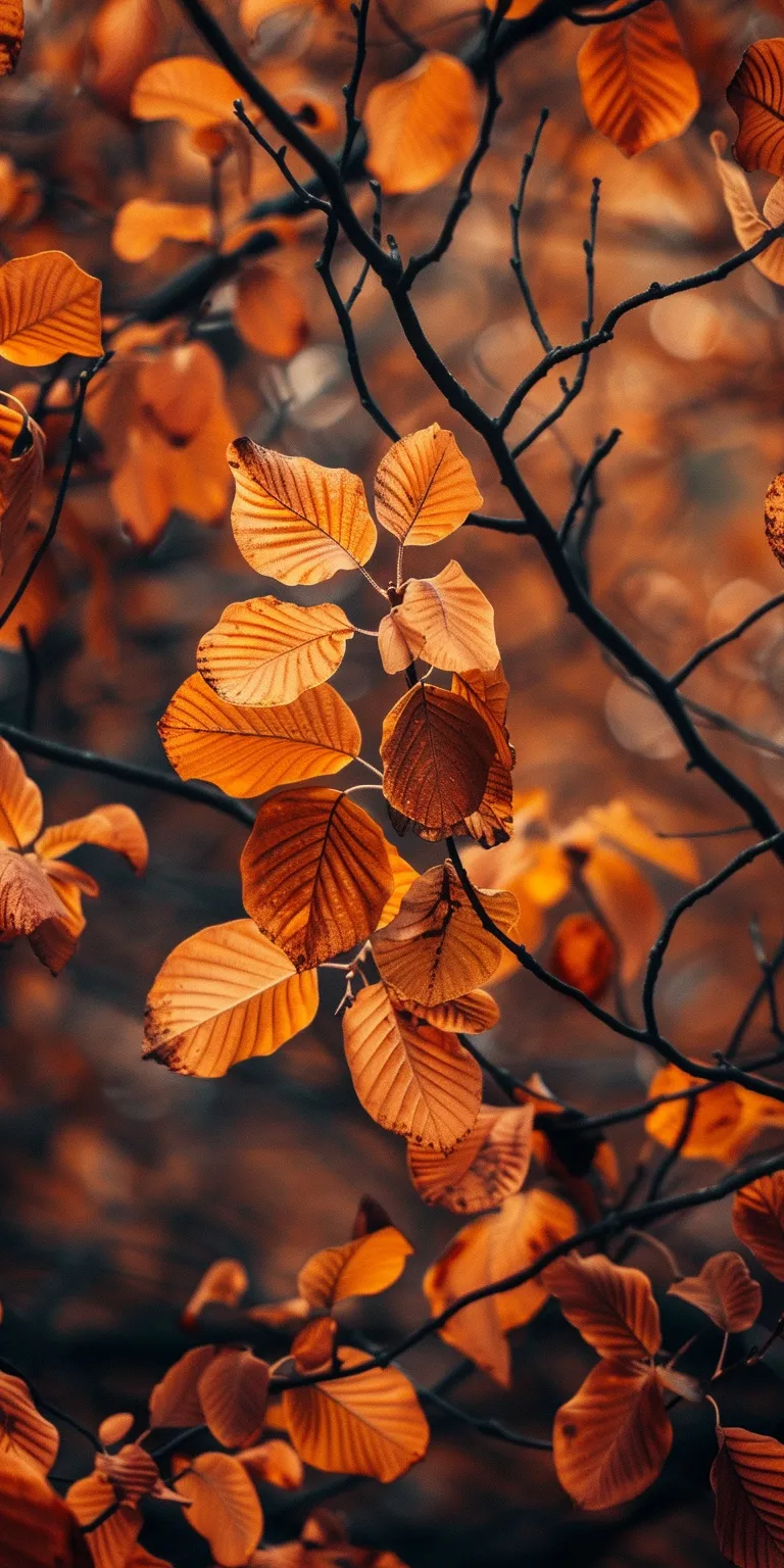 fall background aesthetic, wallpaper style, 4K  1:2