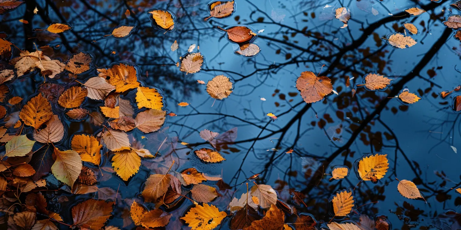fall background images, wallpaper style, 4K  2:1