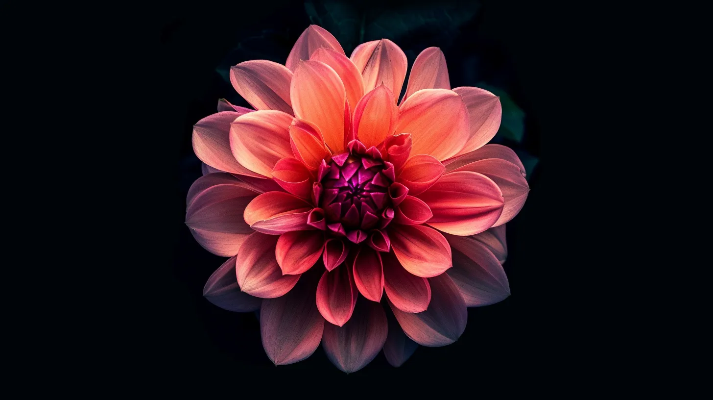 flower wallpaper iphone, style, 4K  16:9