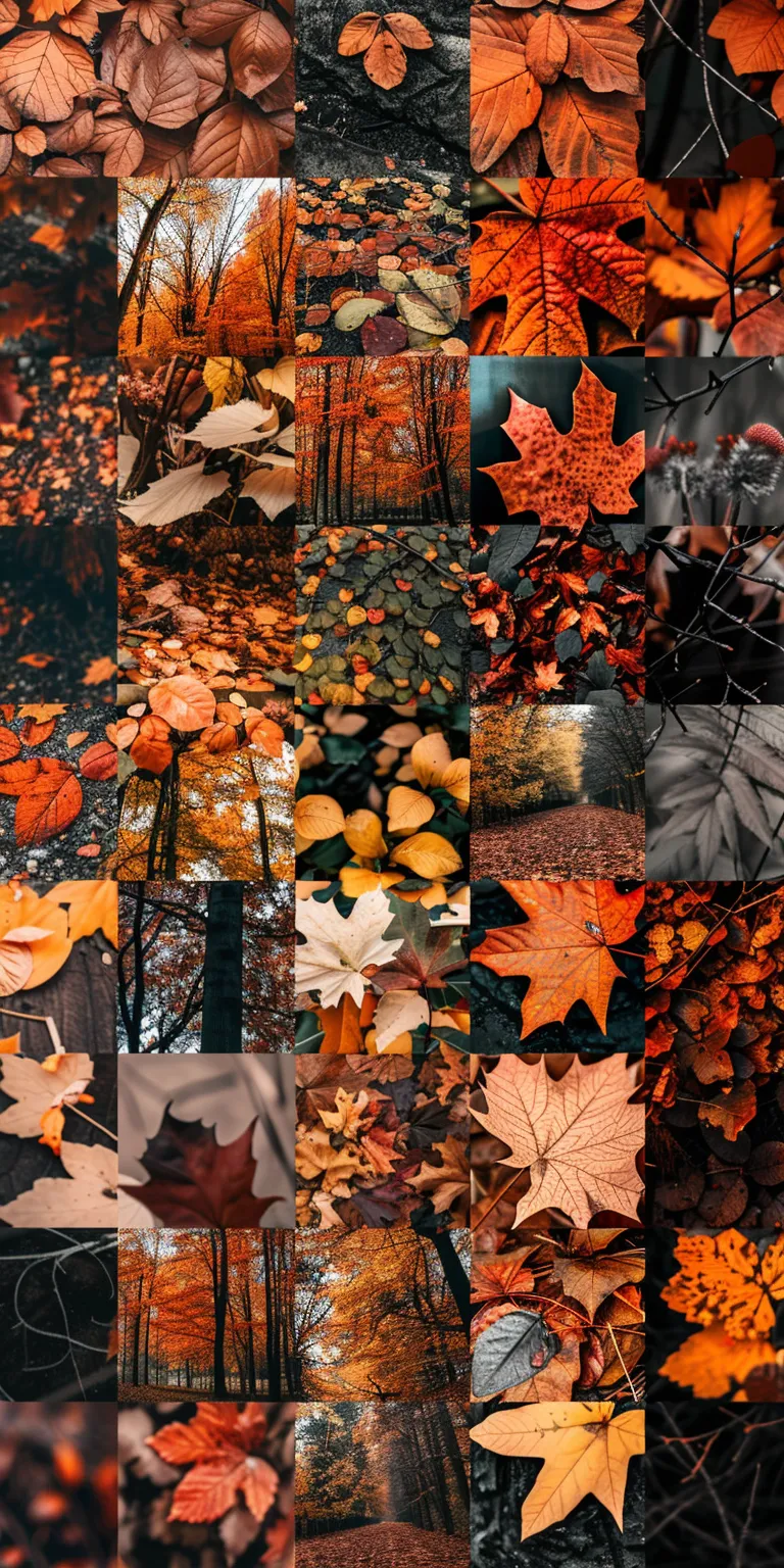 fall background wallpaper collage, style, 4K  1:2