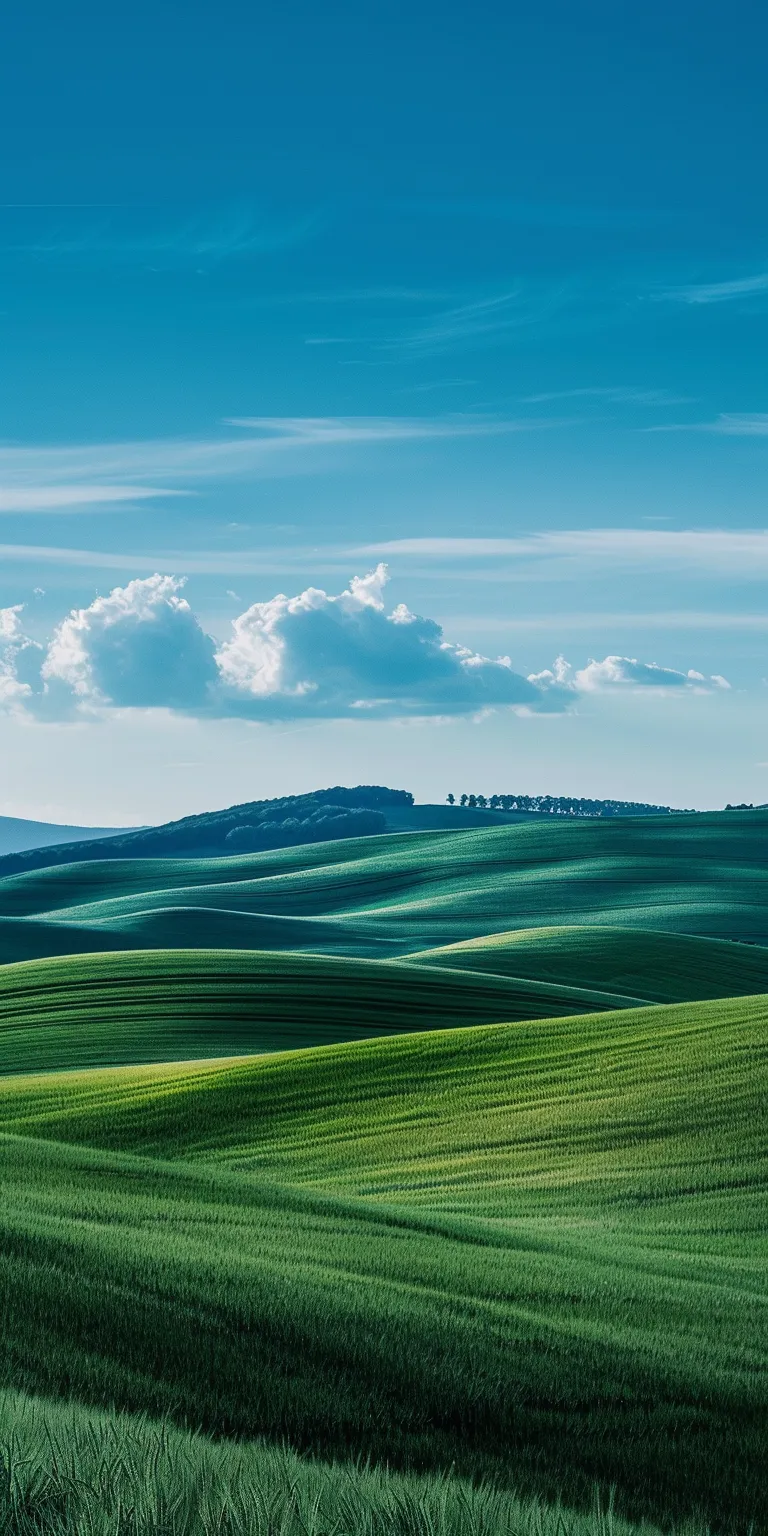 windows xp background 4k, wallpaper style, 4K  1:2