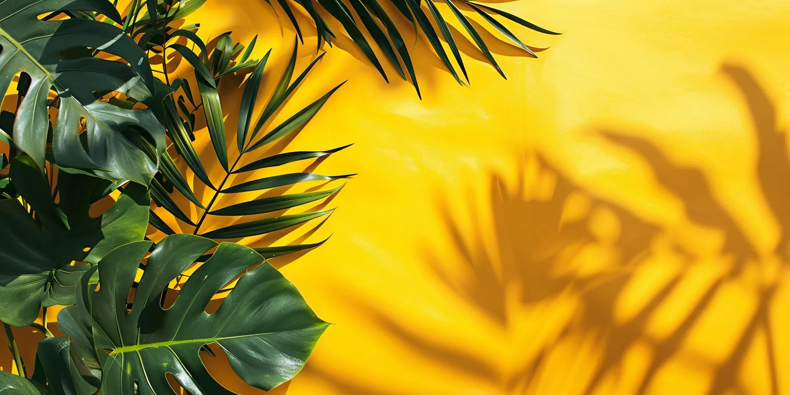 yellow wallpapers aesthetic, wallpaper style, 4K  2:1