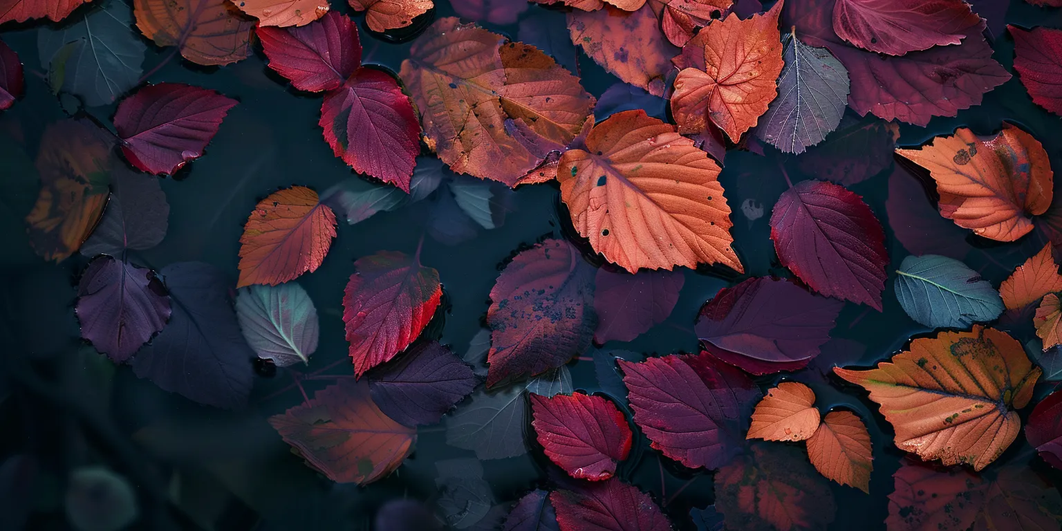 fall background aesthetic, wallpaper style, 4K  2:1