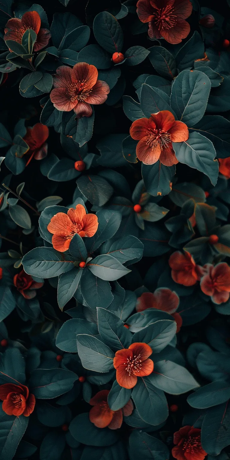 wallpaper with flowers small, style, 4K  1:2