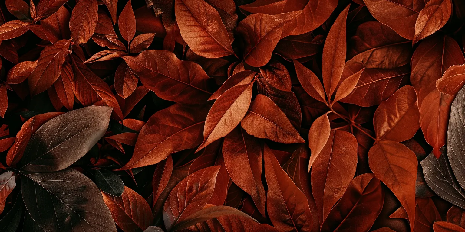 brown wallpaper wall, leaf, botanical, plants