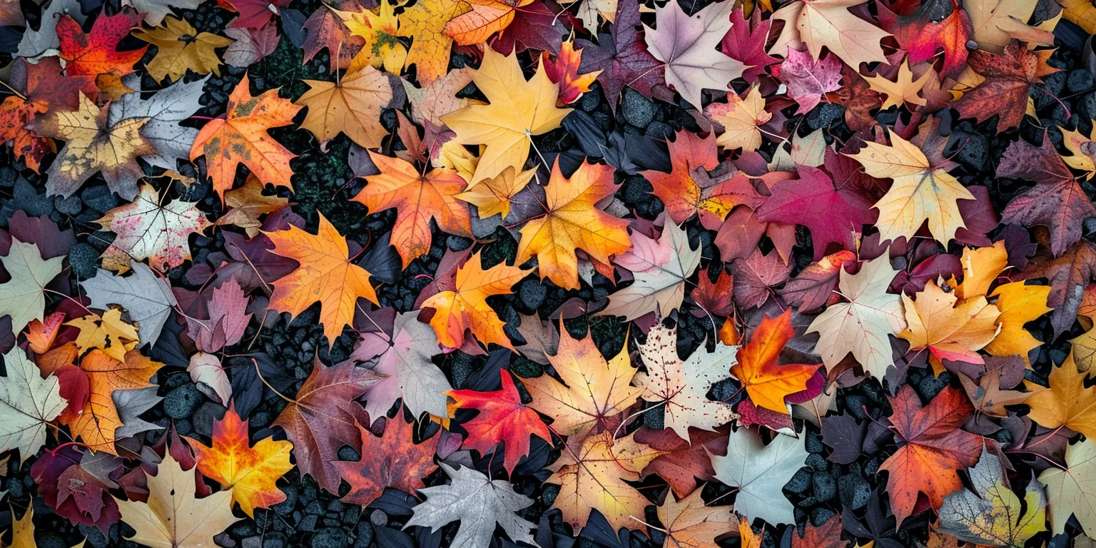 fall wallpaper iphone collage, style, 4K  2:1
