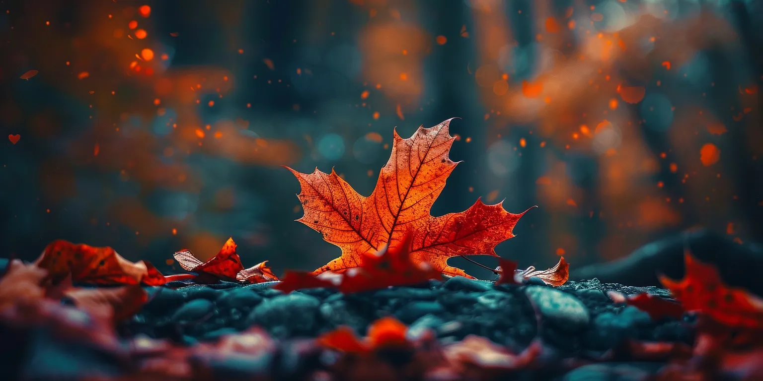 fall wallpaper iphone cute, style, 4K  2:1