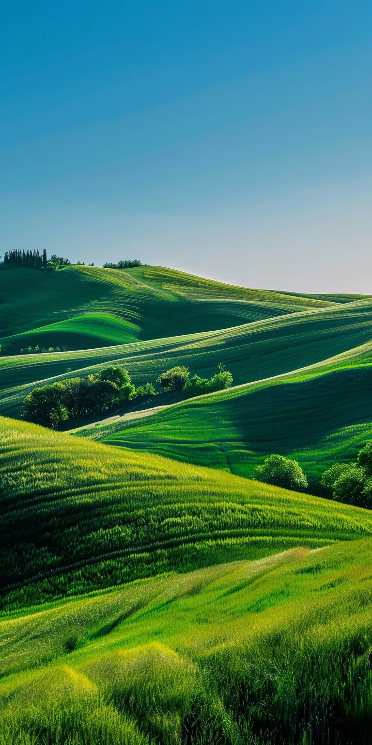 windows xp background now, wallpaper style, 4K  1:2