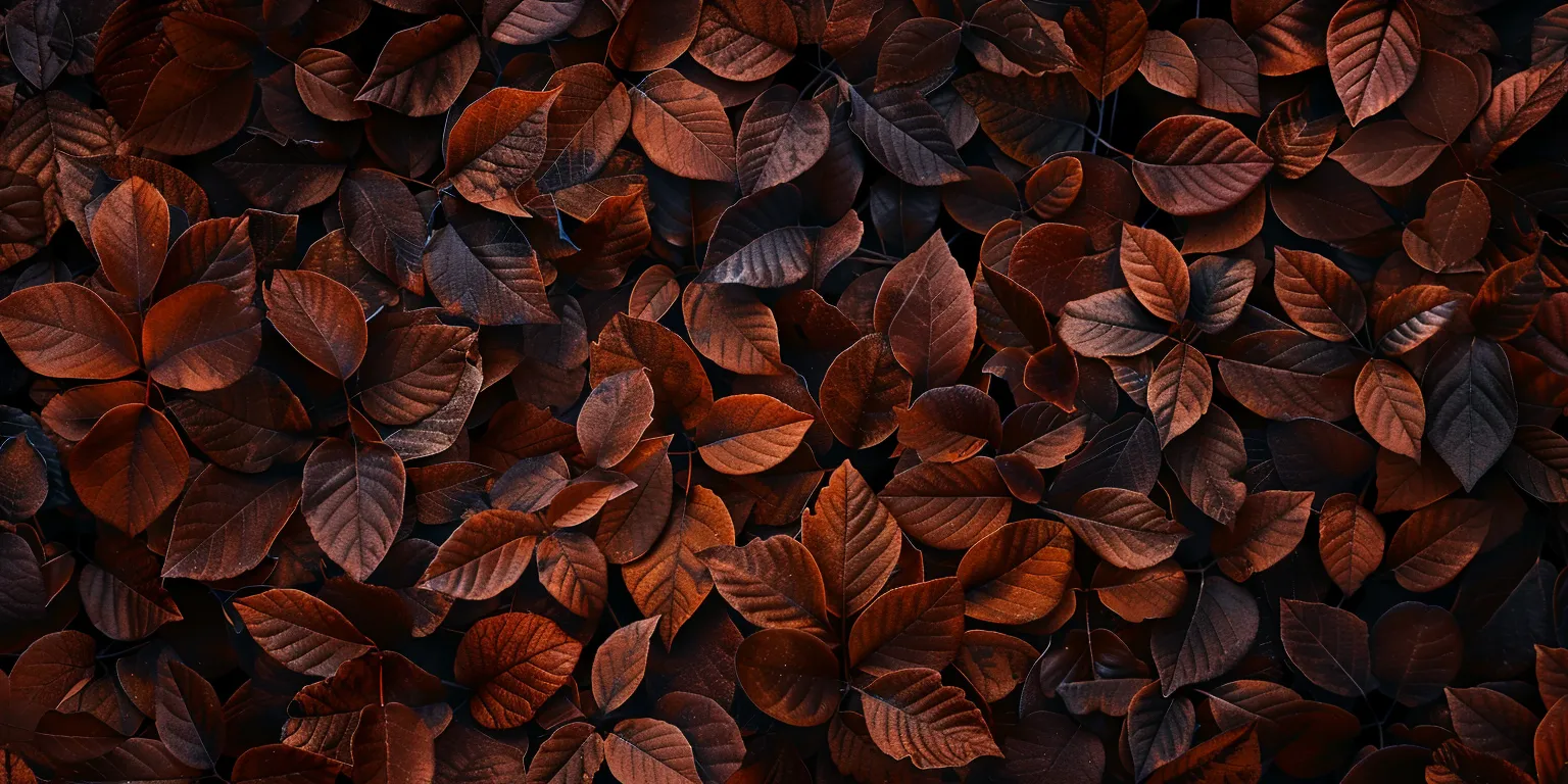 brown wallpaper wall, leaf, unsplash, pattern, 2560x1440