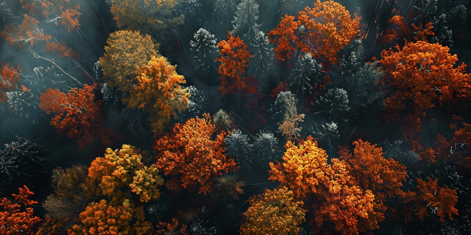 fall desktop wallpaper aesthetic, style, 4K  2:1