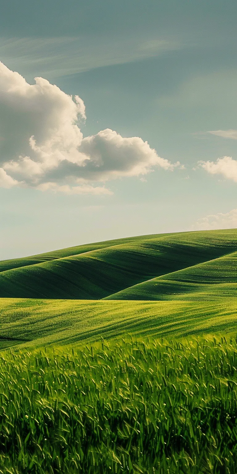 windows xp background 4k, wallpaper style, 4K  1:2