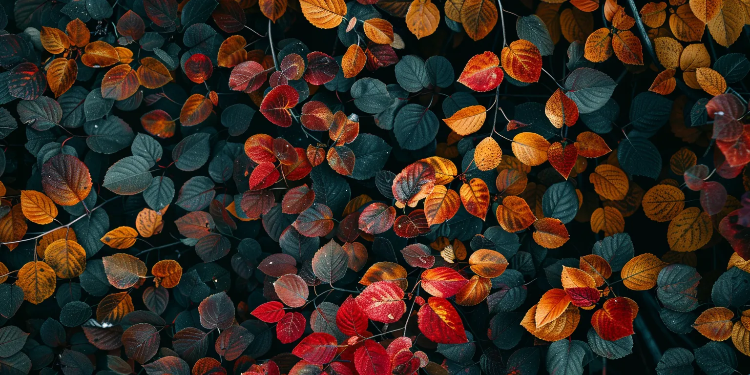 fall background wallpaper iphone, style, 4K  2:1