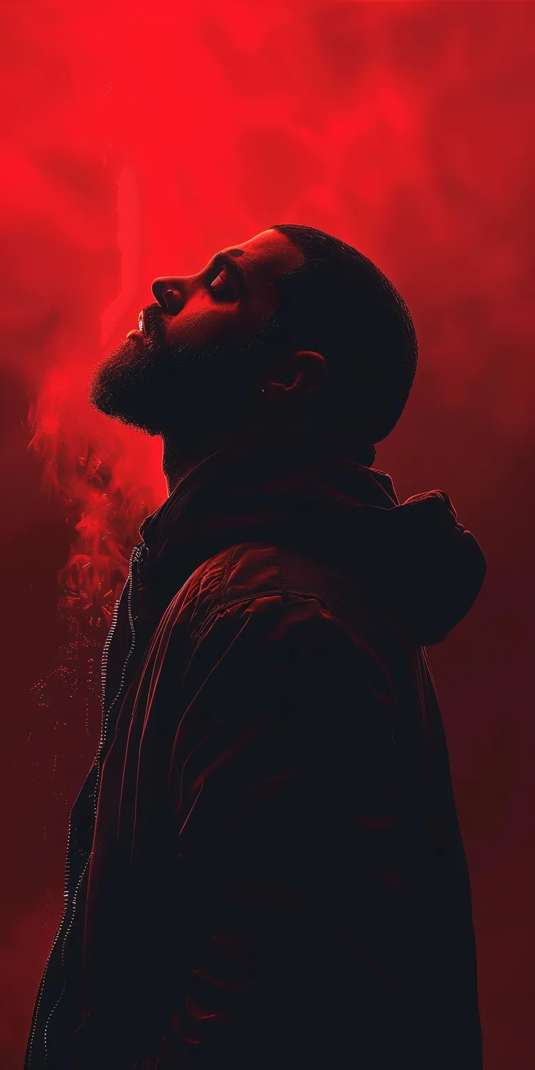 drake wallpaper 4k, style, 4K  1:2